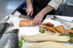 The image for HOME BUTCHER COOKS: BASICS OF FISH